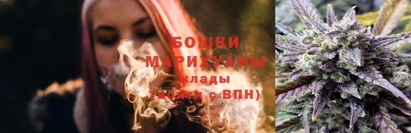 ПСИЛОЦИБИНОВЫЕ ГРИБЫ Няндома
