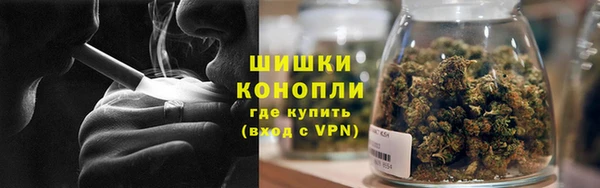 молекула духа Весьегонск