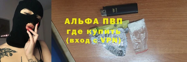 ПСИЛОЦИБИНОВЫЕ ГРИБЫ Няндома