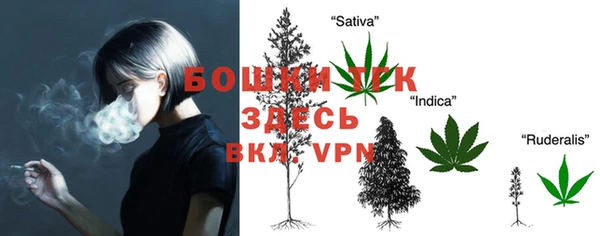 ALPHA PVP Нязепетровск