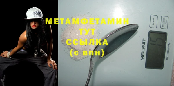 ПСИЛОЦИБИНОВЫЕ ГРИБЫ Няндома