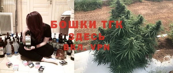 ПСИЛОЦИБИНОВЫЕ ГРИБЫ Няндома