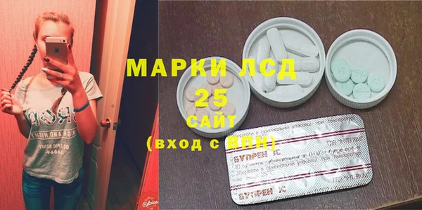 ПСИЛОЦИБИНОВЫЕ ГРИБЫ Няндома