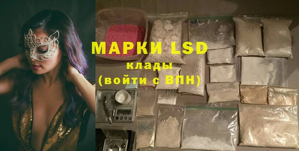 ПСИЛОЦИБИНОВЫЕ ГРИБЫ Няндома